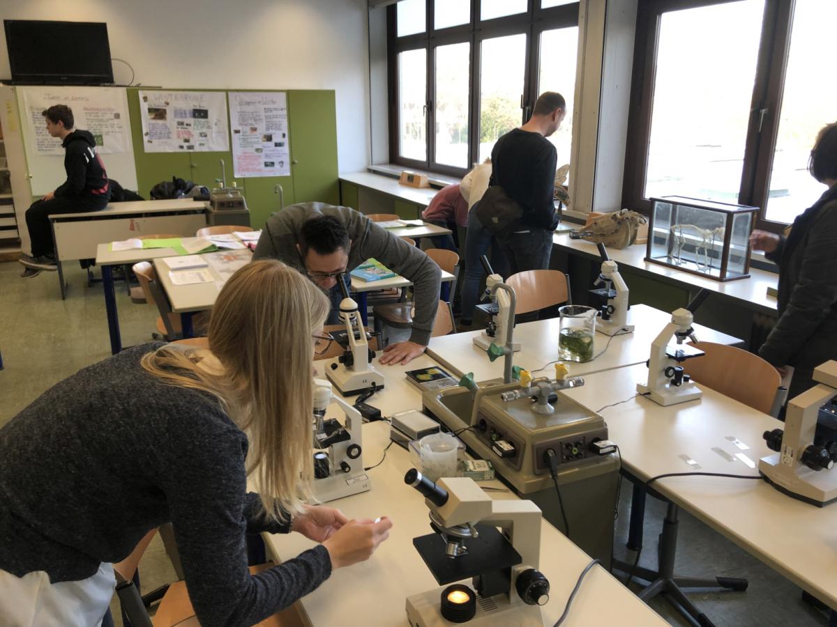 ToT201925